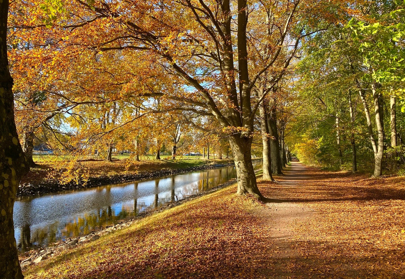 Her finner du også vakre Hortens kanalen - her i høstdrakt Galleribilde