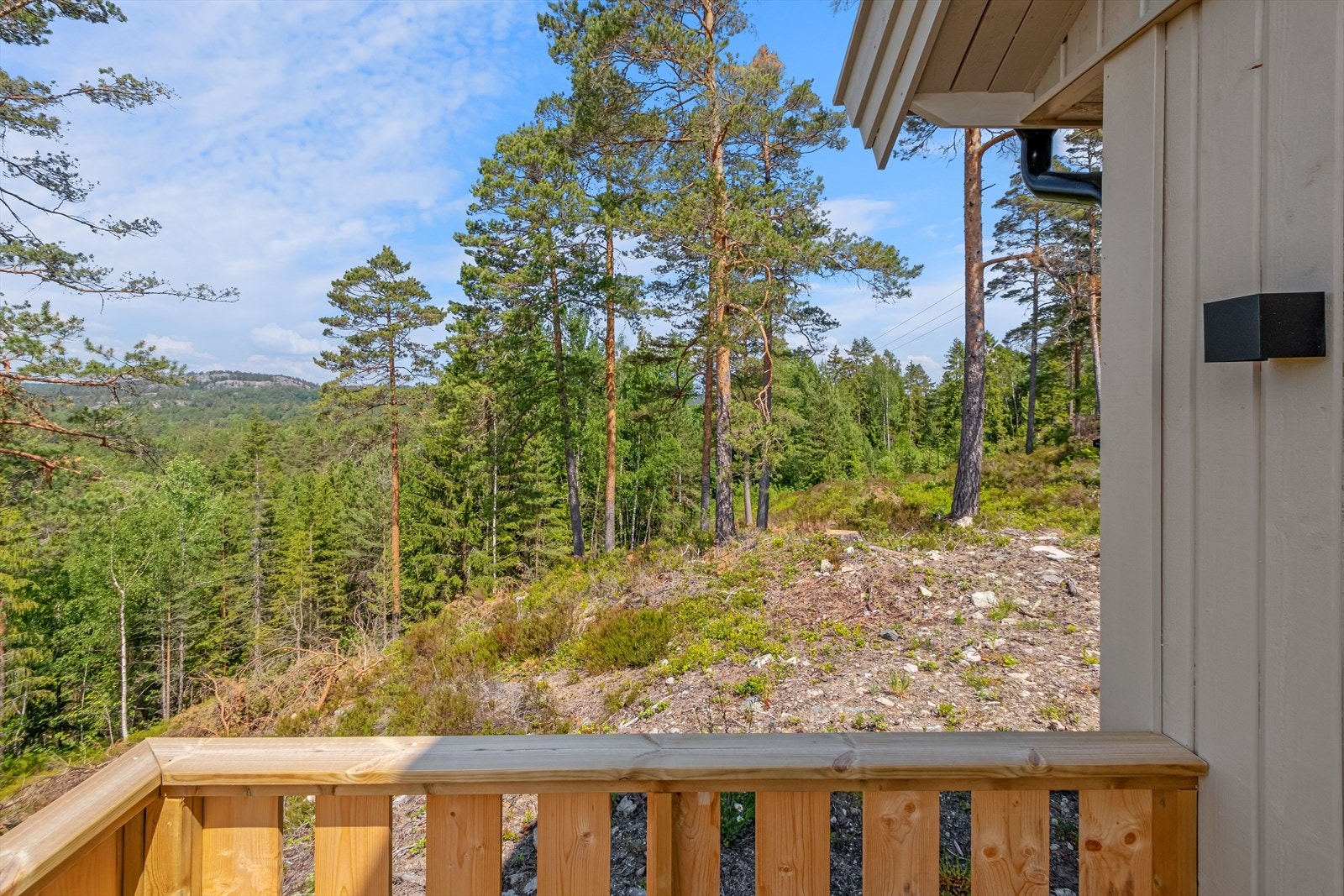 Området rundt hytta Galleribilde