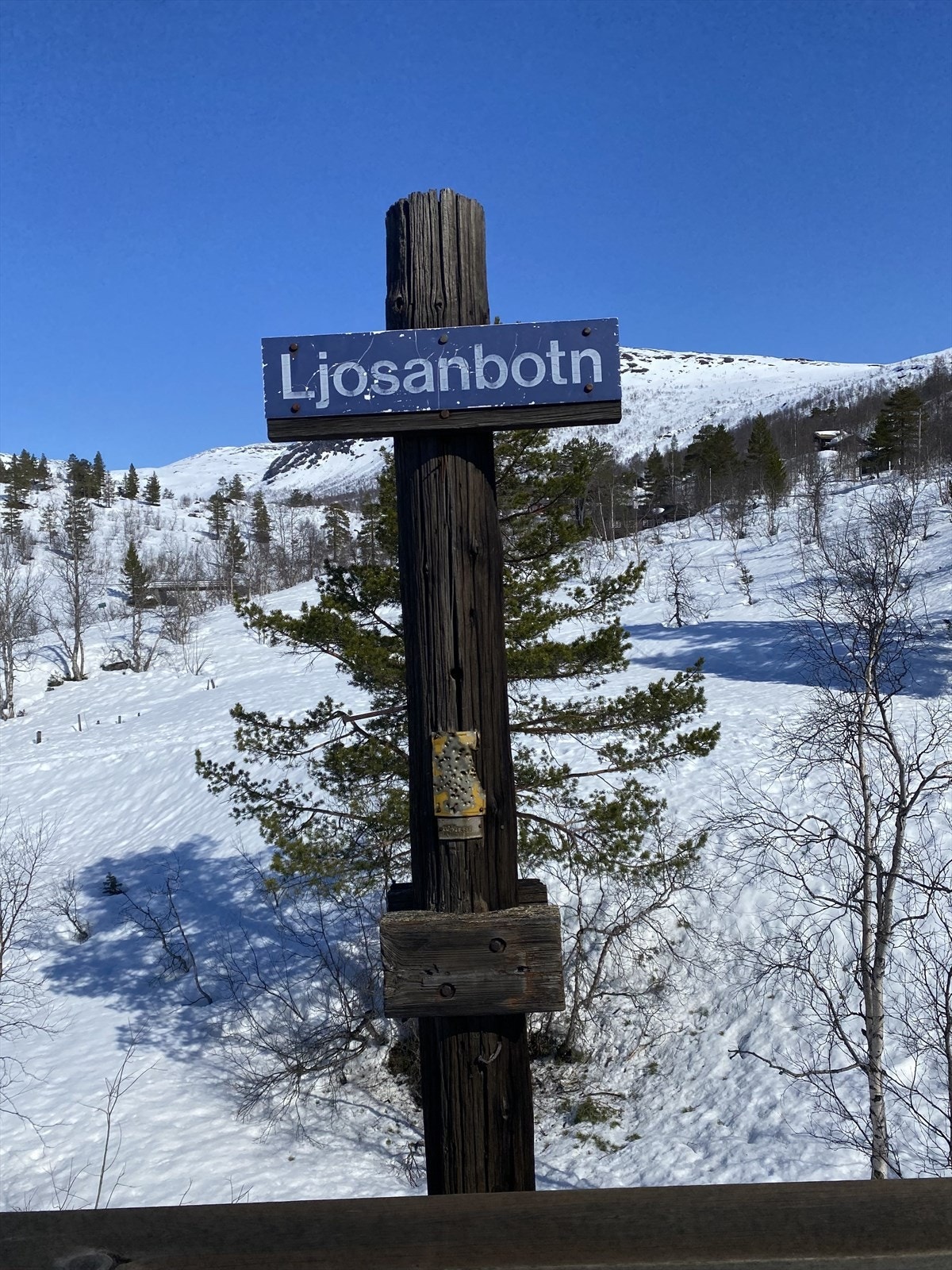 Ljosanbotn. Galleribilde