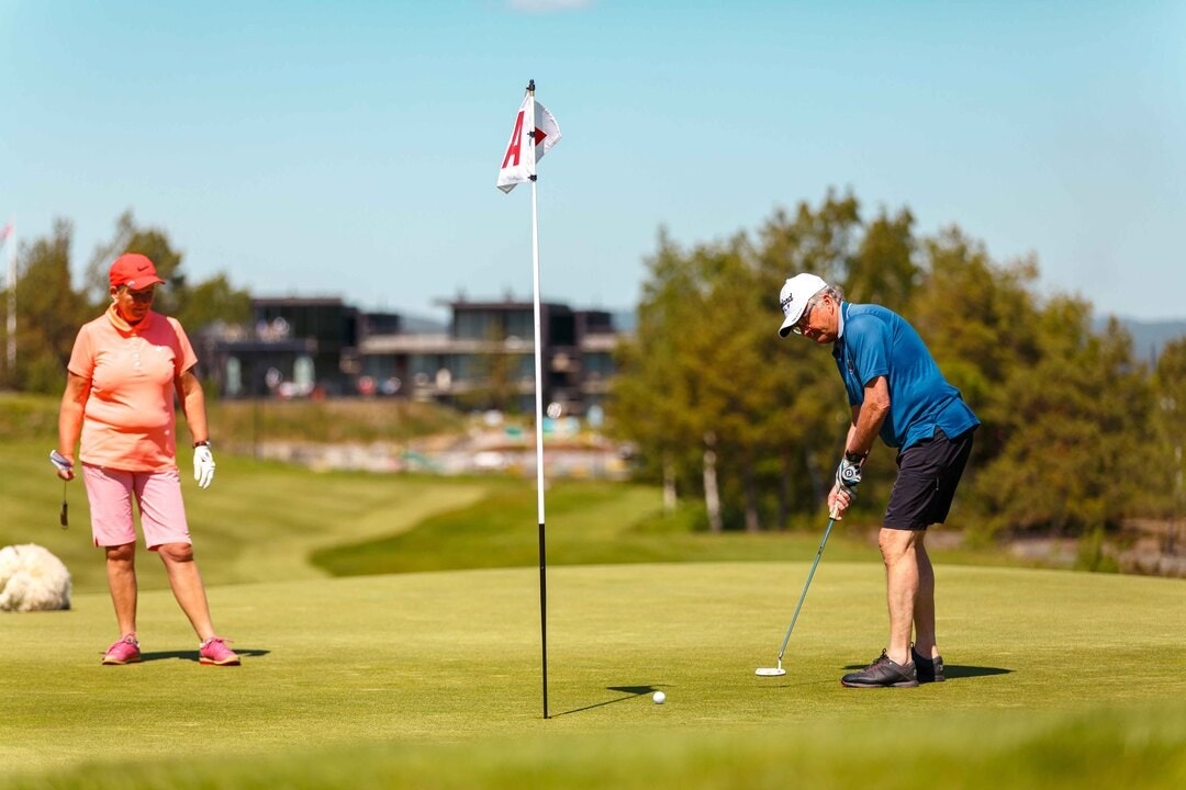 Sydri er nærmeste nabo til Kragerø Resort og her kan du nyte spektakulær utsikt fra en utendørs infinity pool på spa, slå ut på Norges mest særegne 18-hulls golfbane, smash deg svett på en gresstennisbane og mye, mye mer! Galleribilde