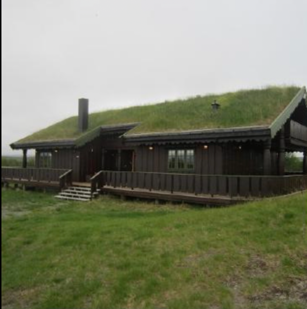 Sommer - selgers eget bilde Galleribilde