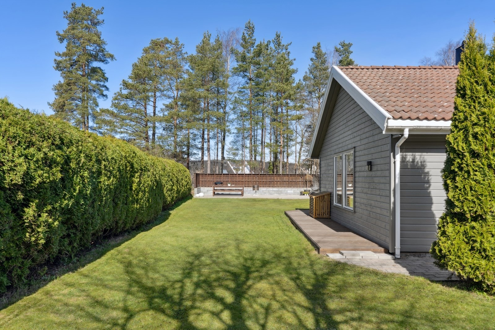 Flott hekk som skjermer godt for innsyn i hagen Galleribilde