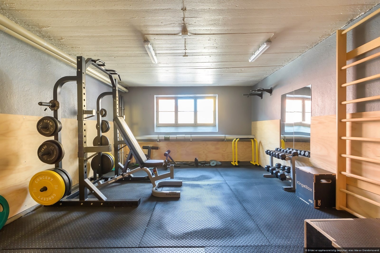 Ikke minst finnes det felles trimrom Galleribilde