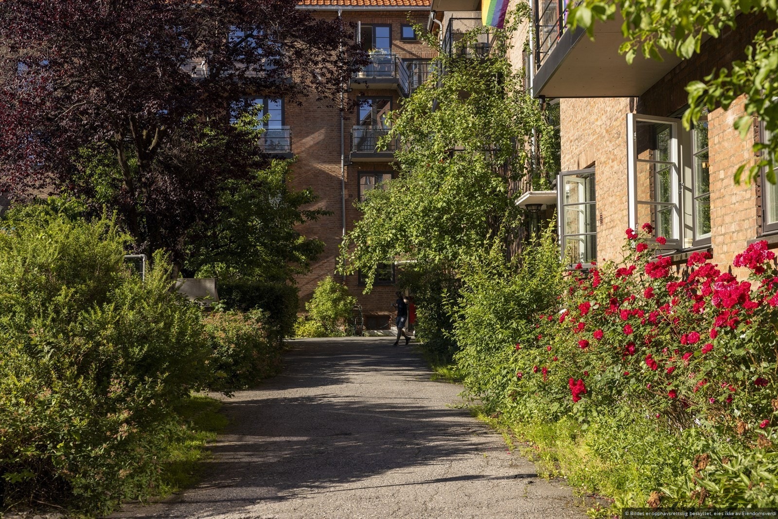 Velkommen til den flotte hagen i borettslaget .. Ta en titt Galleribilde