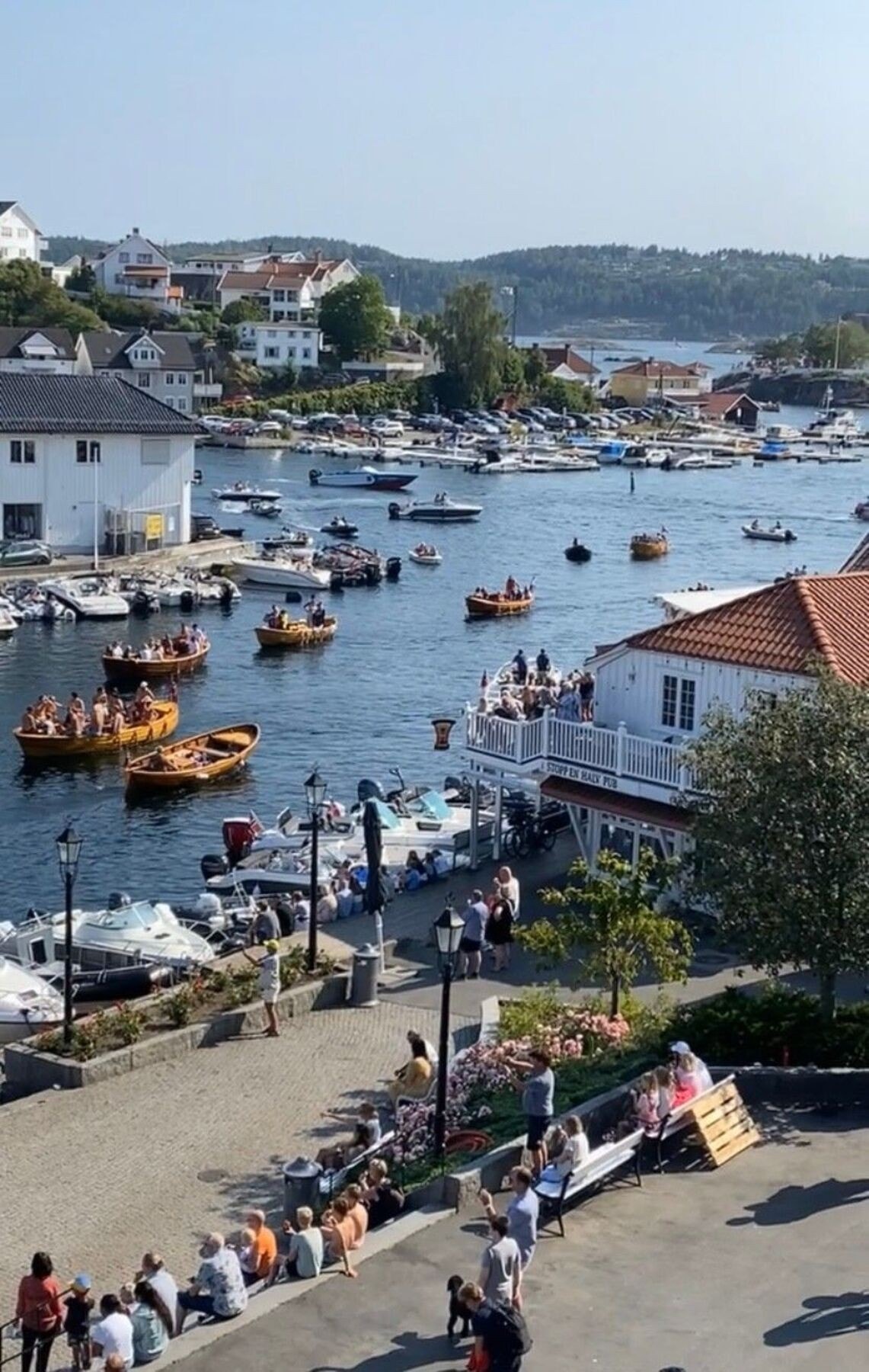 Fra balkongen - yrende liv om sommeren! Selgers eget bilde. Galleribilde