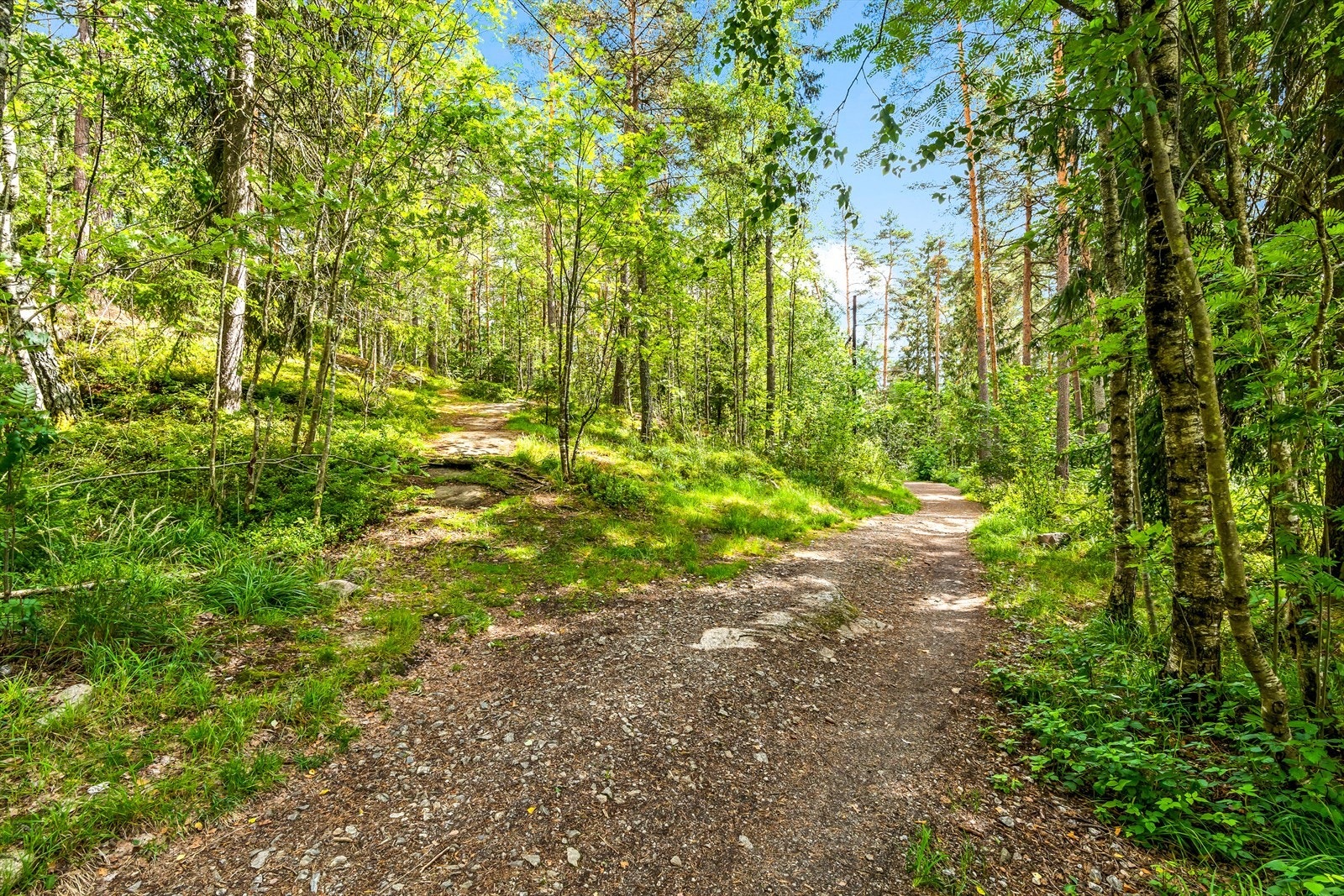 Flott tur- og joggeløype som går i en oval sirkel fra idrettsanlegget ved skolen og forbi skogområdet bak Steinspranget. Galleribilde