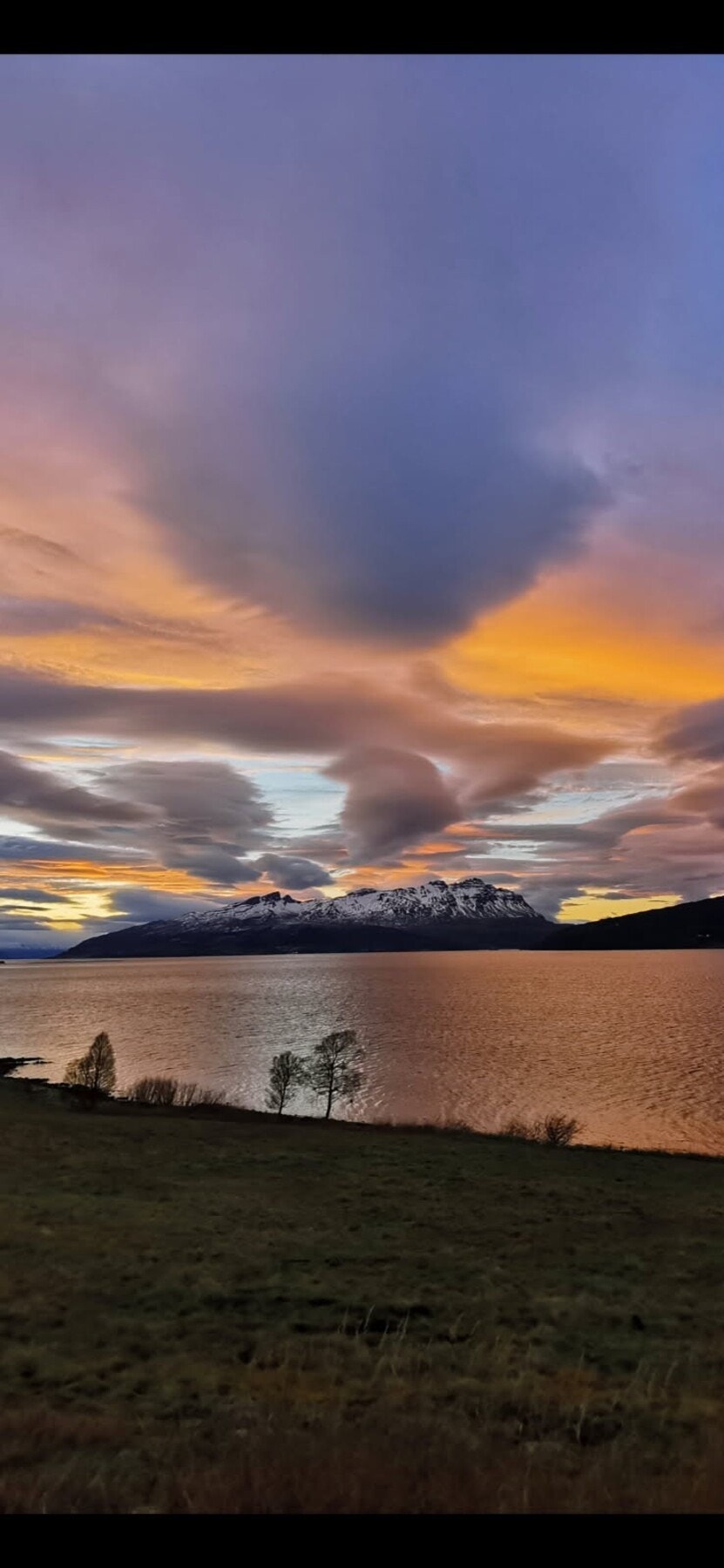 Selgers eget bilde Galleribilde