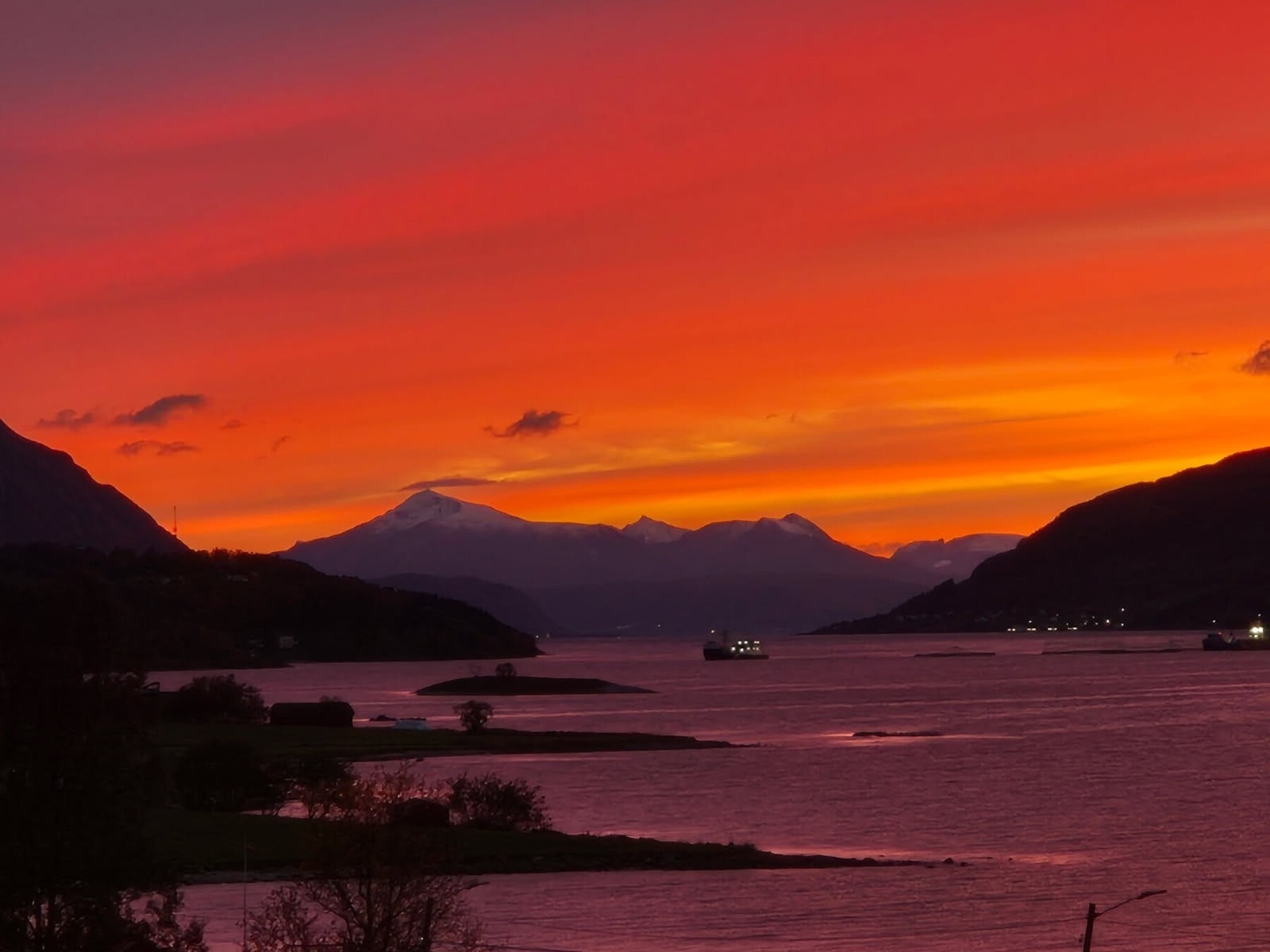 Selgers eget bilde Galleribilde