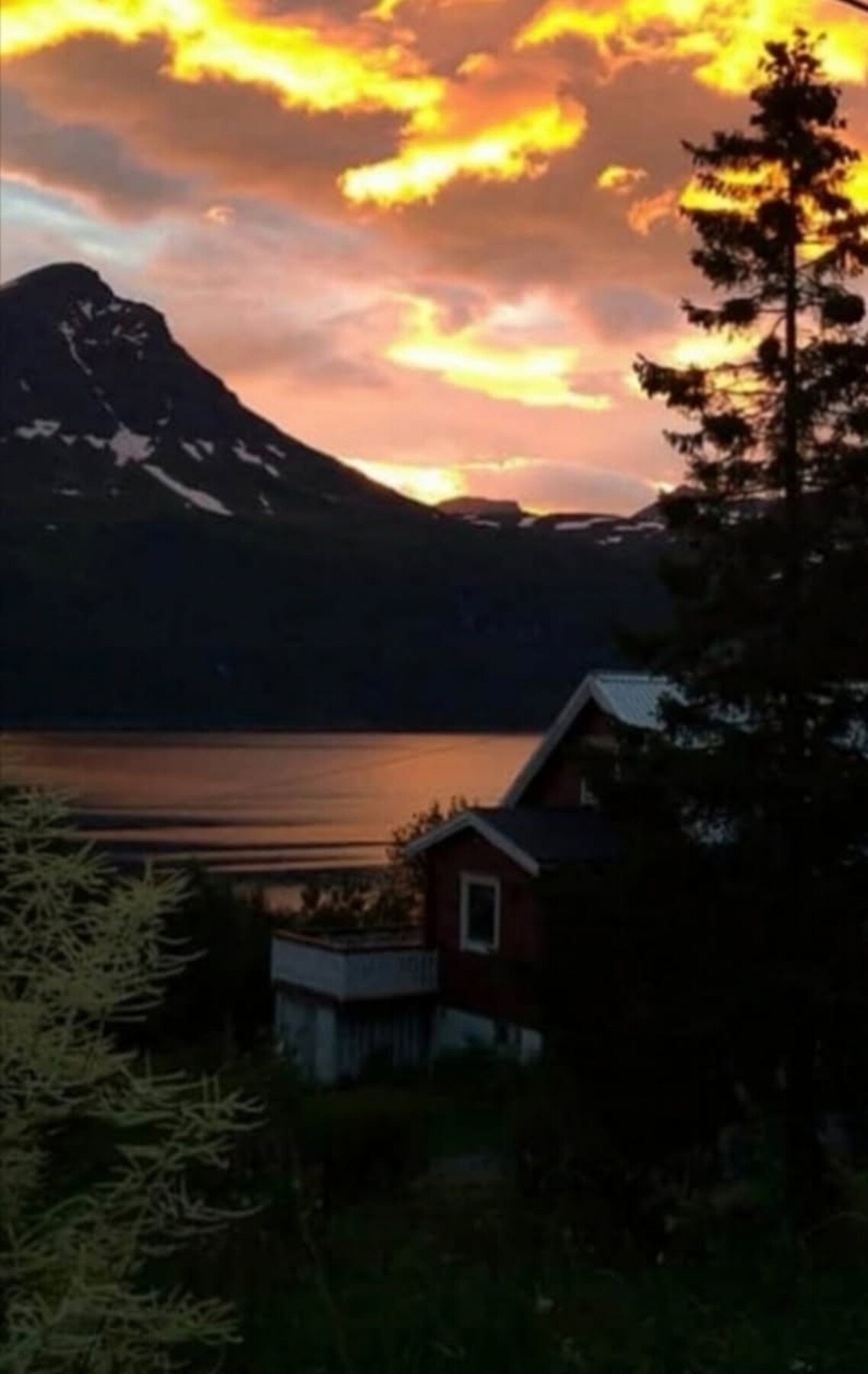 Selgers eget bilde Galleribilde