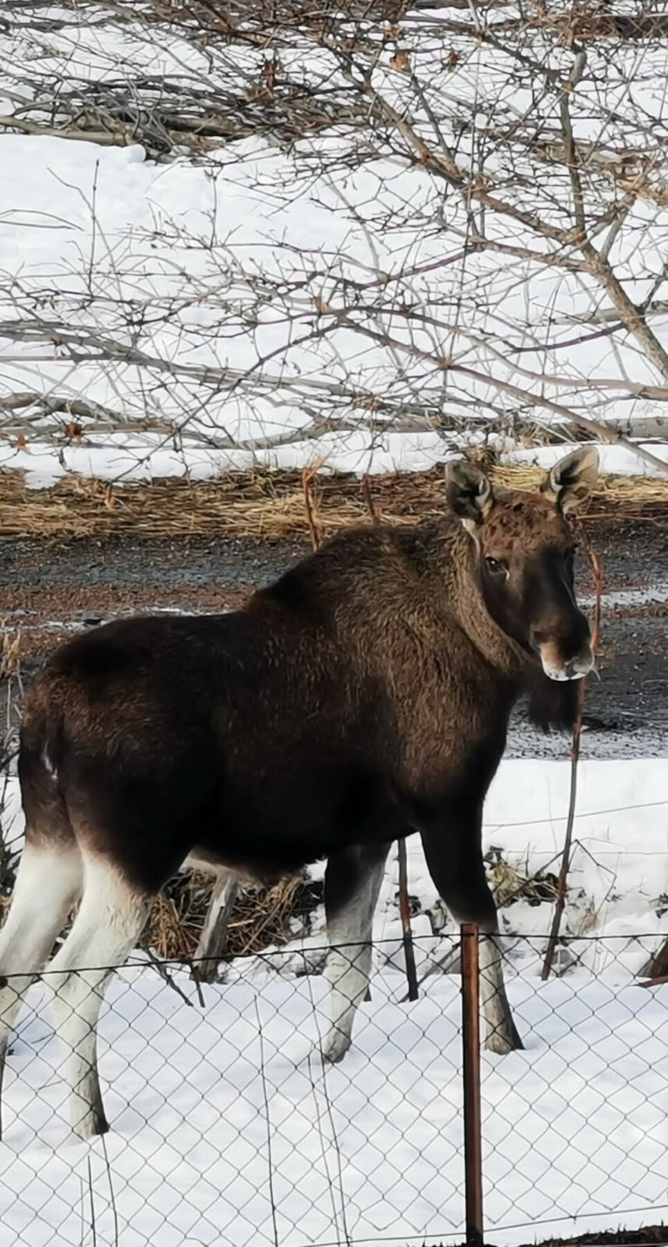 Selgers eget bilde Galleribilde