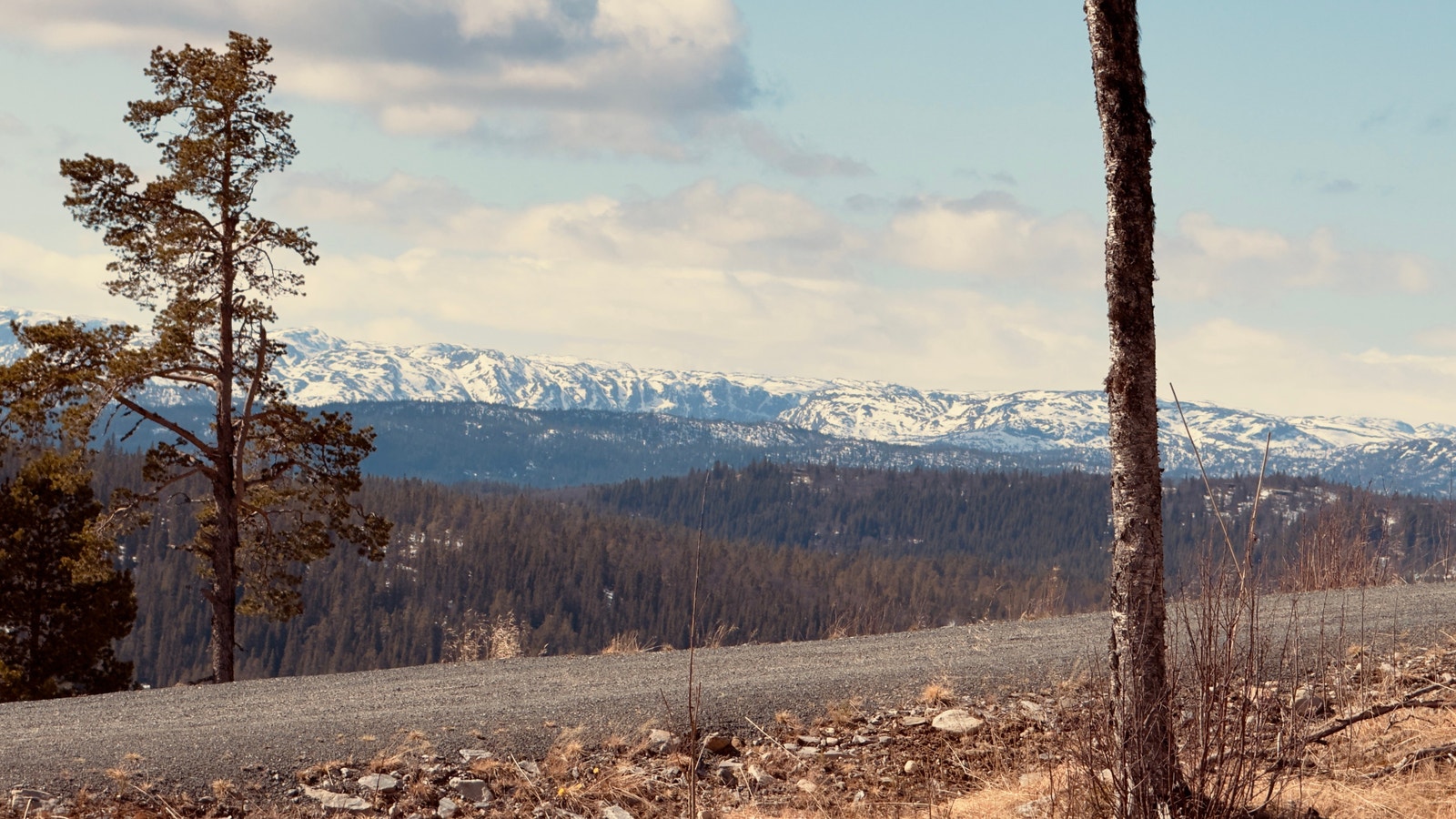 Panorama utsikt. Galleribilde
