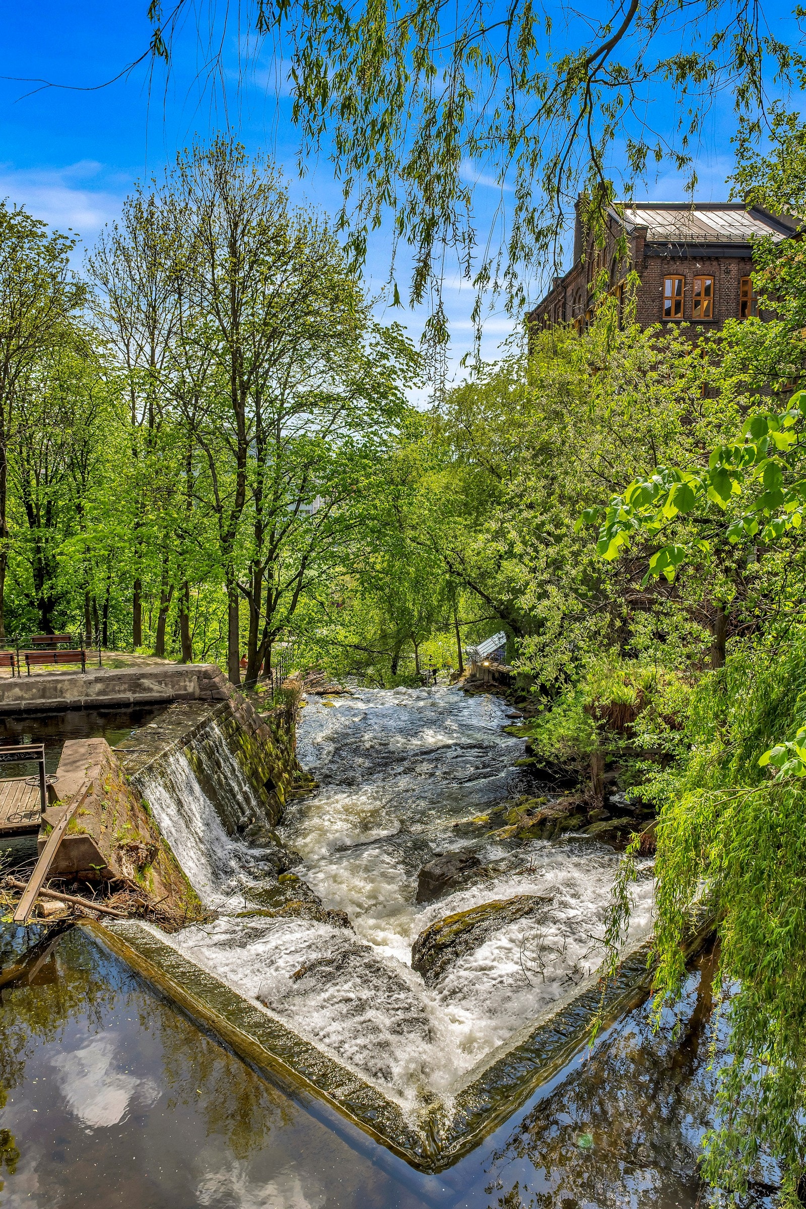 Beierbrua er en bro som går over Akerselva i Oslo mellom Sagveien og Thorvald Meyers gate. Galleribilde