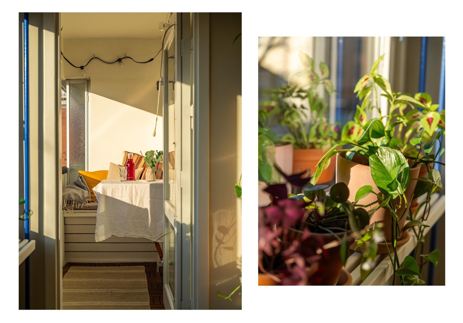 Leiligheten har dype vinduskarmer, som gir fine lagringsmuligheter. Planter trives godt. Herfra er utgangen til leilighetens balkong. Galleribilde