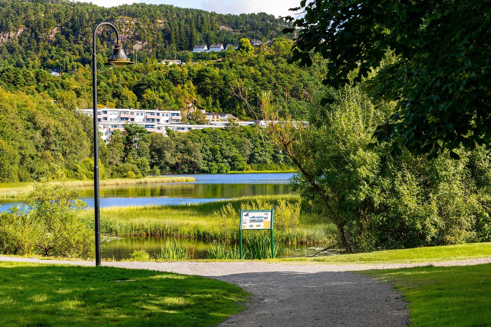 Ortuvannet Galleribilde