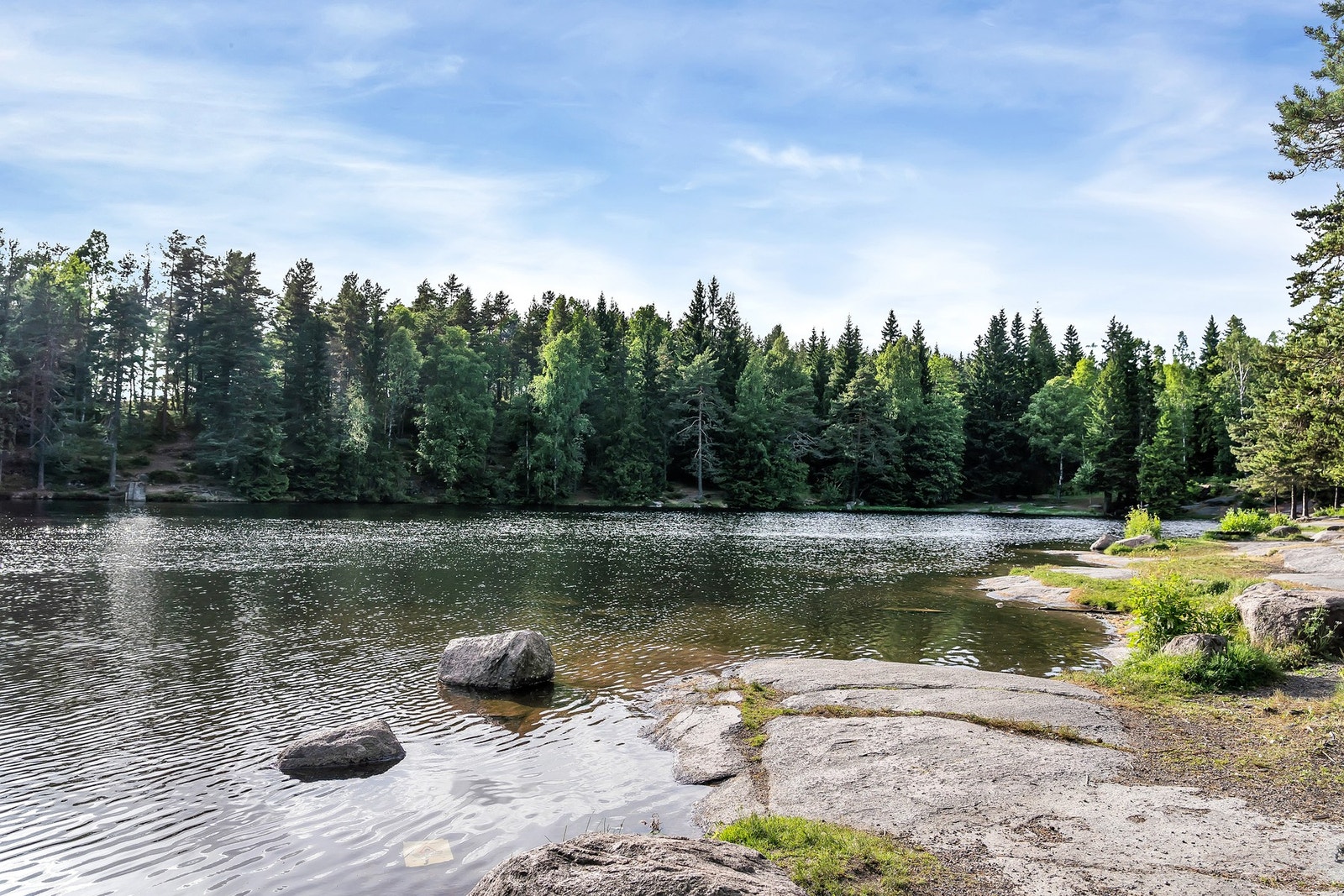 Badedammen og Steinbruvann Galleribilde