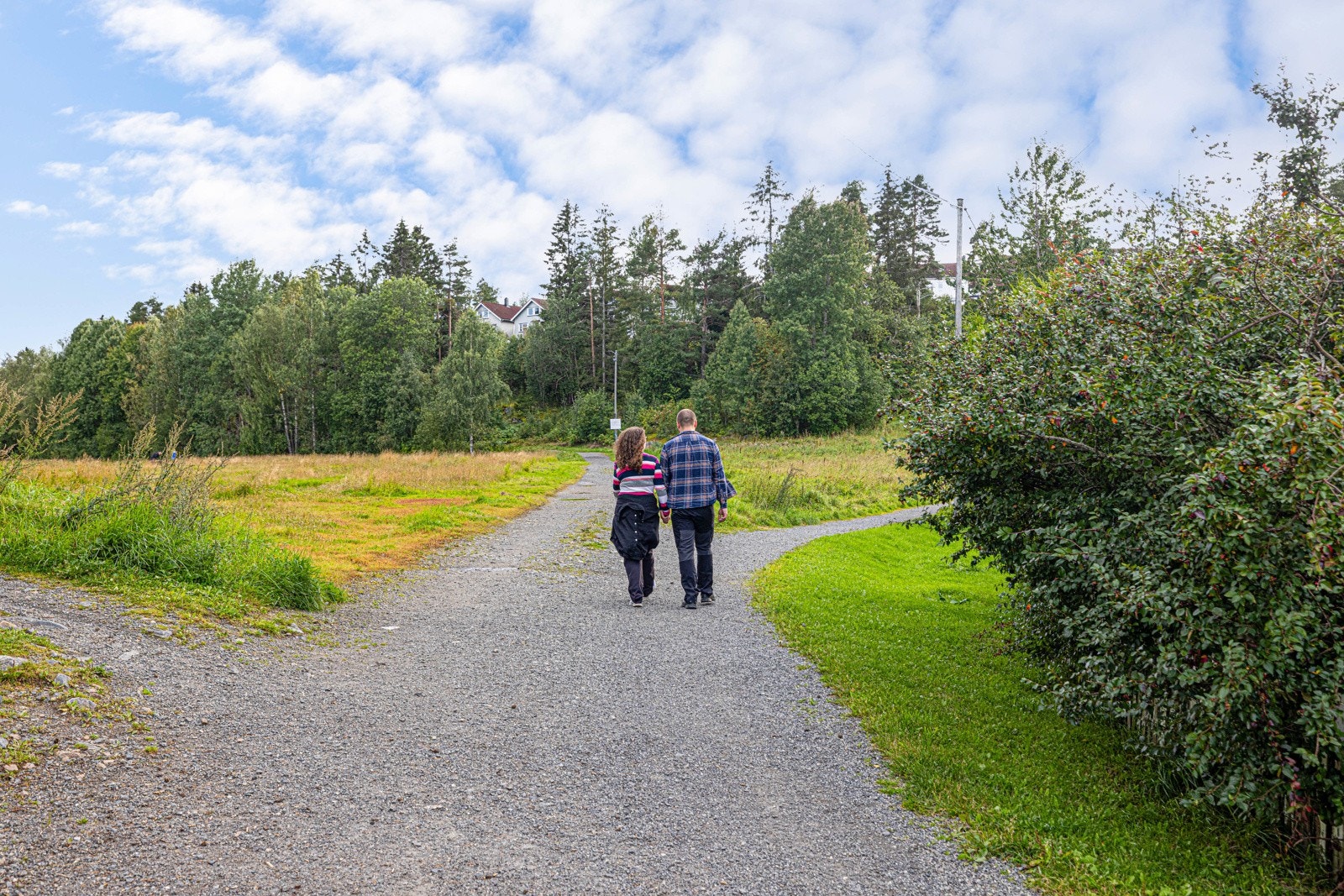 Inngangen til marka starter rett utenfor... Galleribilde
