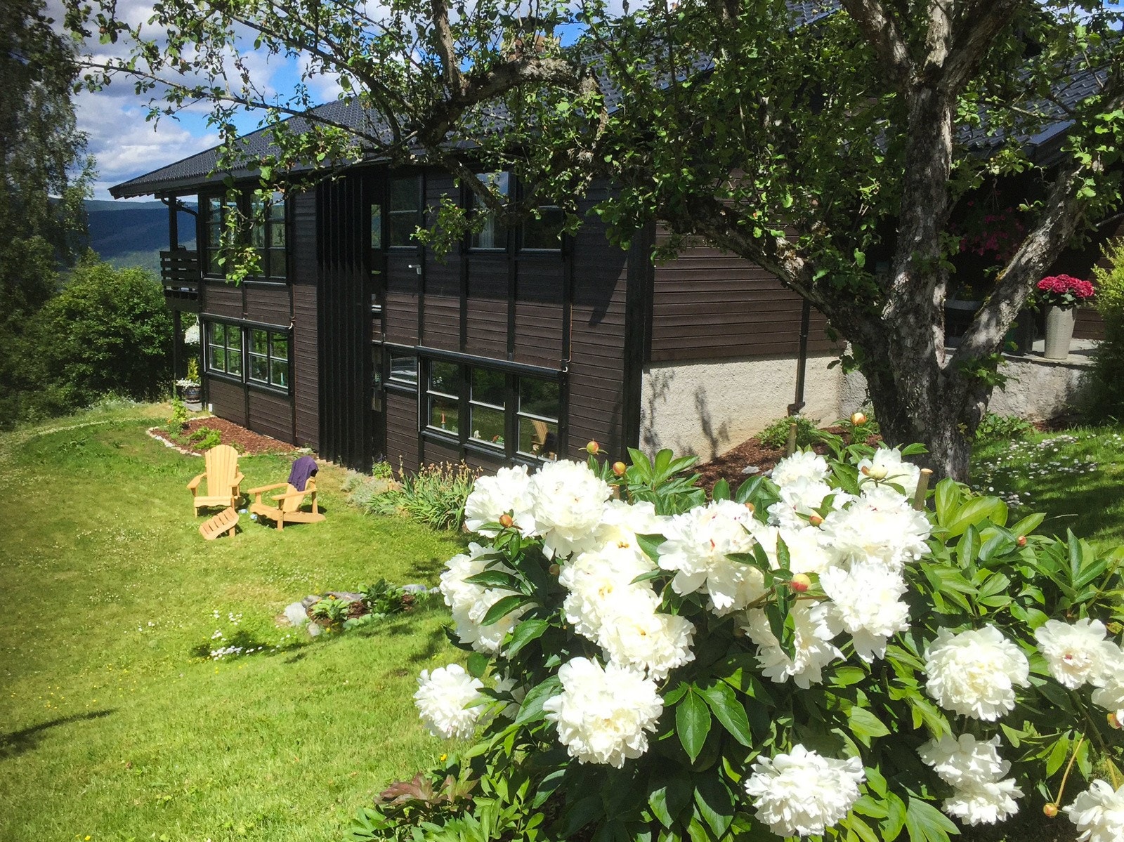 I hagen er det også busker med rips, solberg og bringebær, samt vakre, fargerike blomsterbed på flere sider. Galleribilde