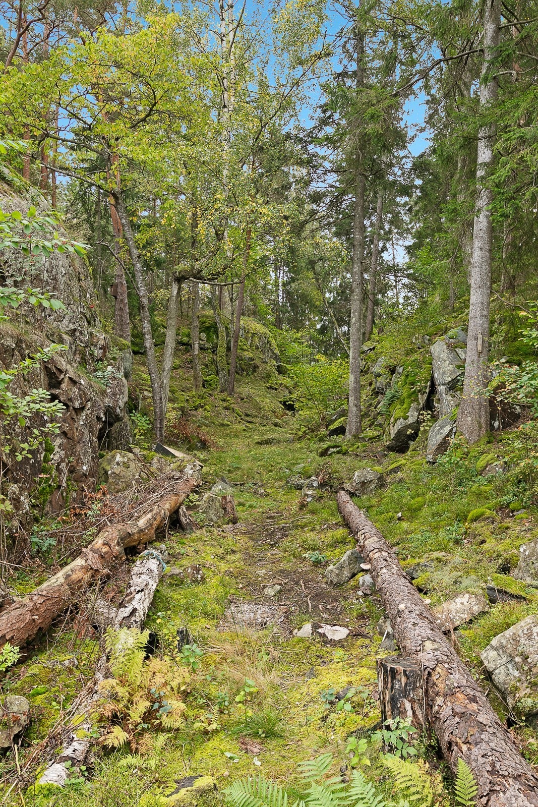 Hytta ligger etablert i en naturlig "skorte". Denne går videre bak hytta. Galleribilde