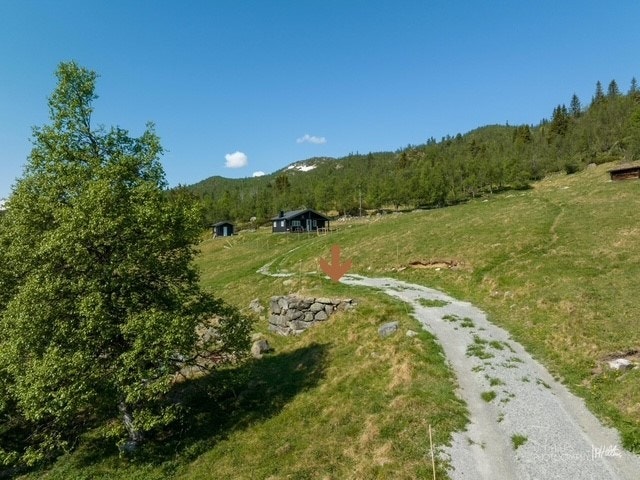 Det er gruset sti fra parkering med muligheter for og kjøre bil helt inn til hytten på sommerstid. Galleribilde