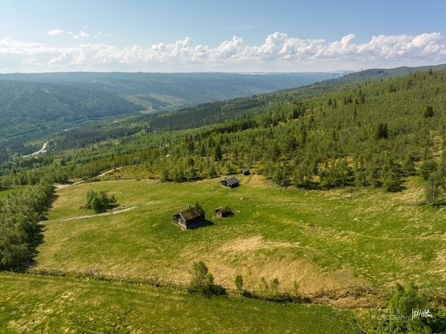 Idyllisk landskap. Galleribilde