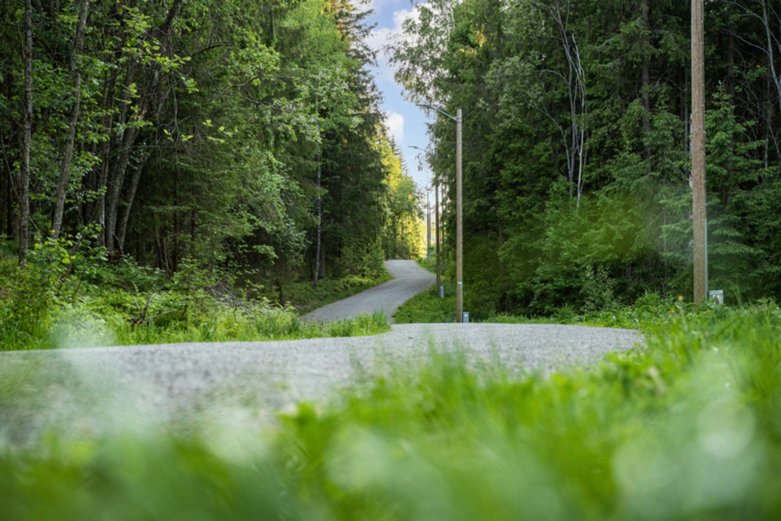 Flotte tur- og skiløyper i umiddelbar nærhet. Galleribilde