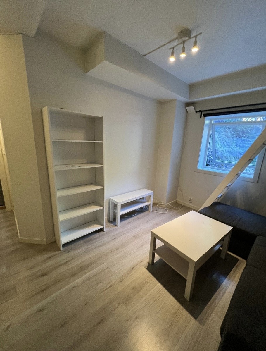 Tv krok Galleribilde