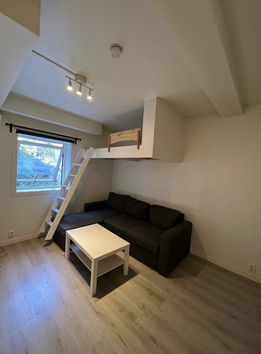 Stue med sovealkove. Galleribilde