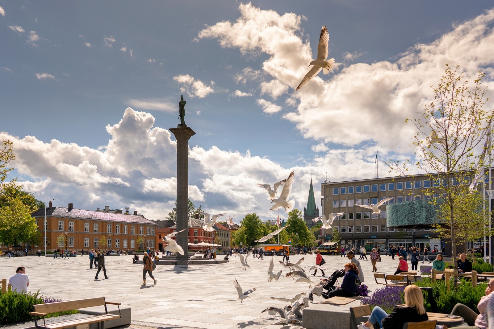 Trondheim torg er byens historiske midtpunkt og ligger innen kort avstand fra boligen. Torget er omkranset av butikker, kafeer, og brukes ofte til markeder og konserter som skaper liv i bykjernen. Galleribilde