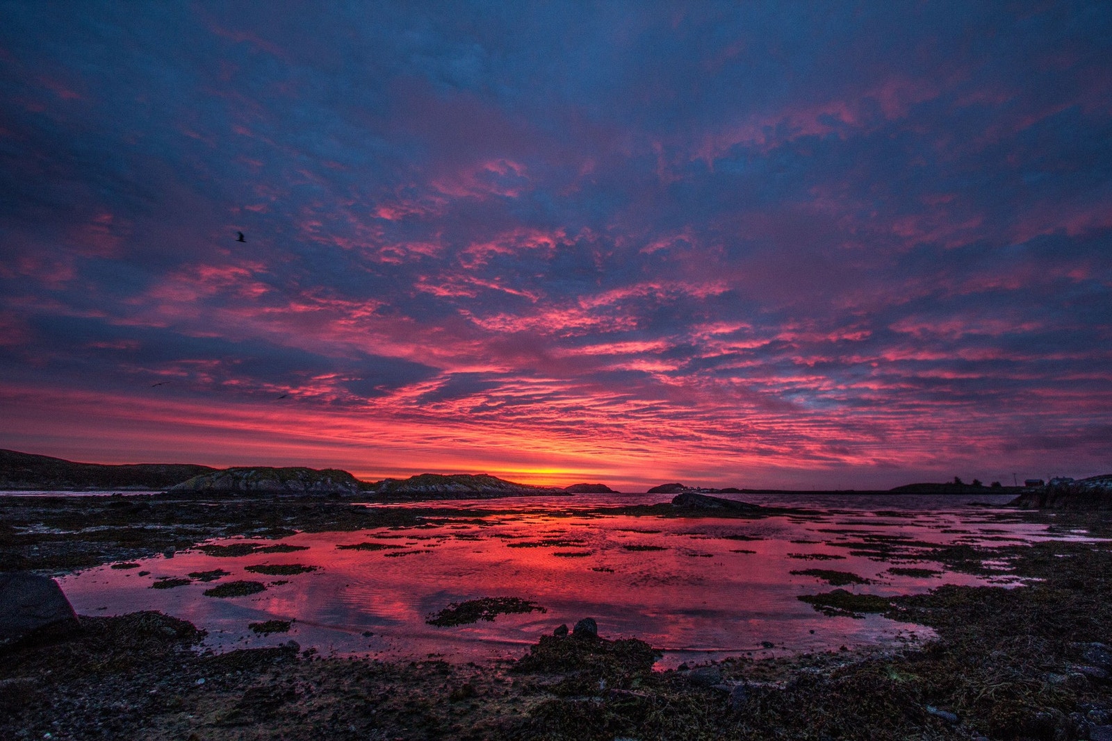Områdebilde fra Kråkvåg Galleribilde