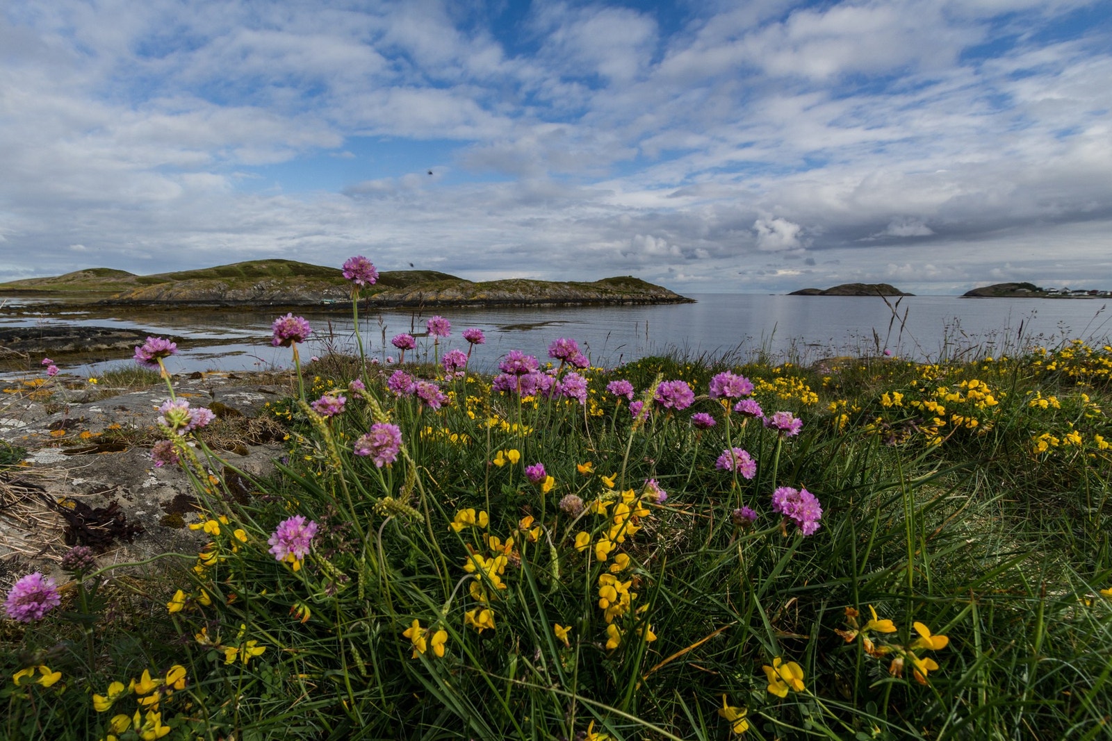 Områdebilde fra Kråkvåg Galleribilde