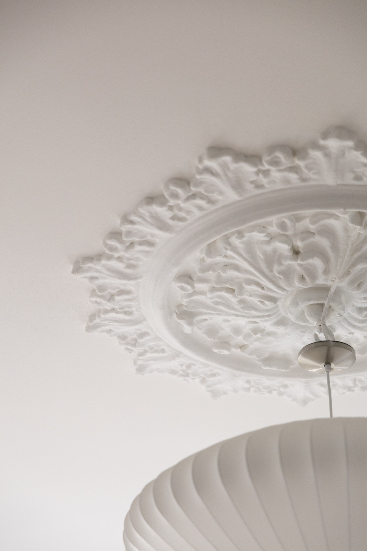 Unike detaljer i himling med både rosett og stukkatur. Galleribilde