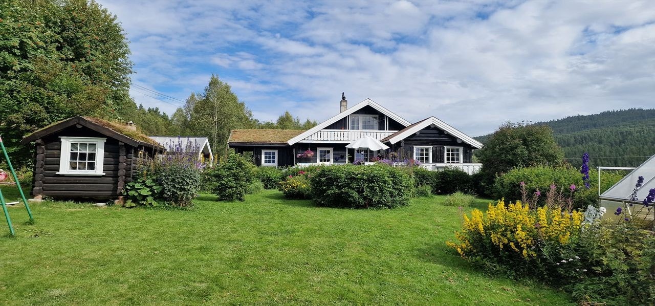 Fasadebilde sommer. Galleribilde