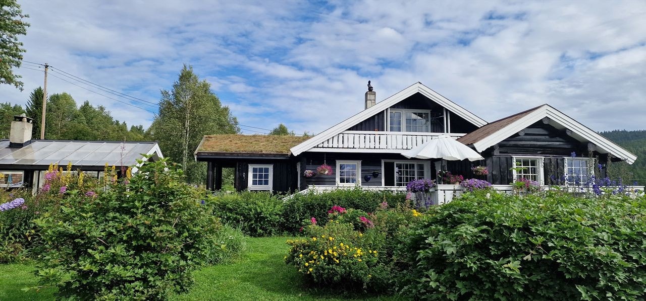 Fasadebilde sommer. Galleribilde
