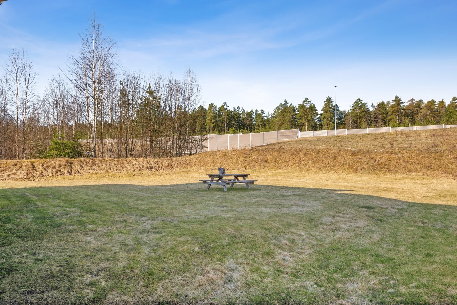 Fellesareal. Galleribilde