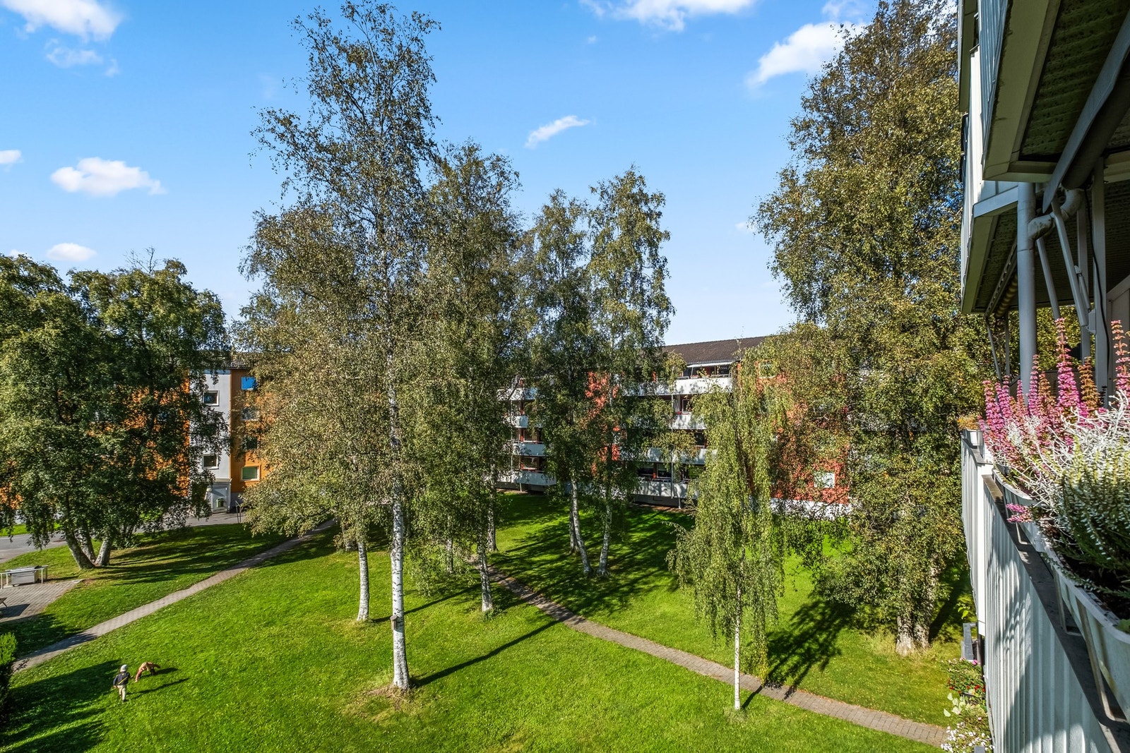 Sommerbilde fra balkongen. Galleribilde