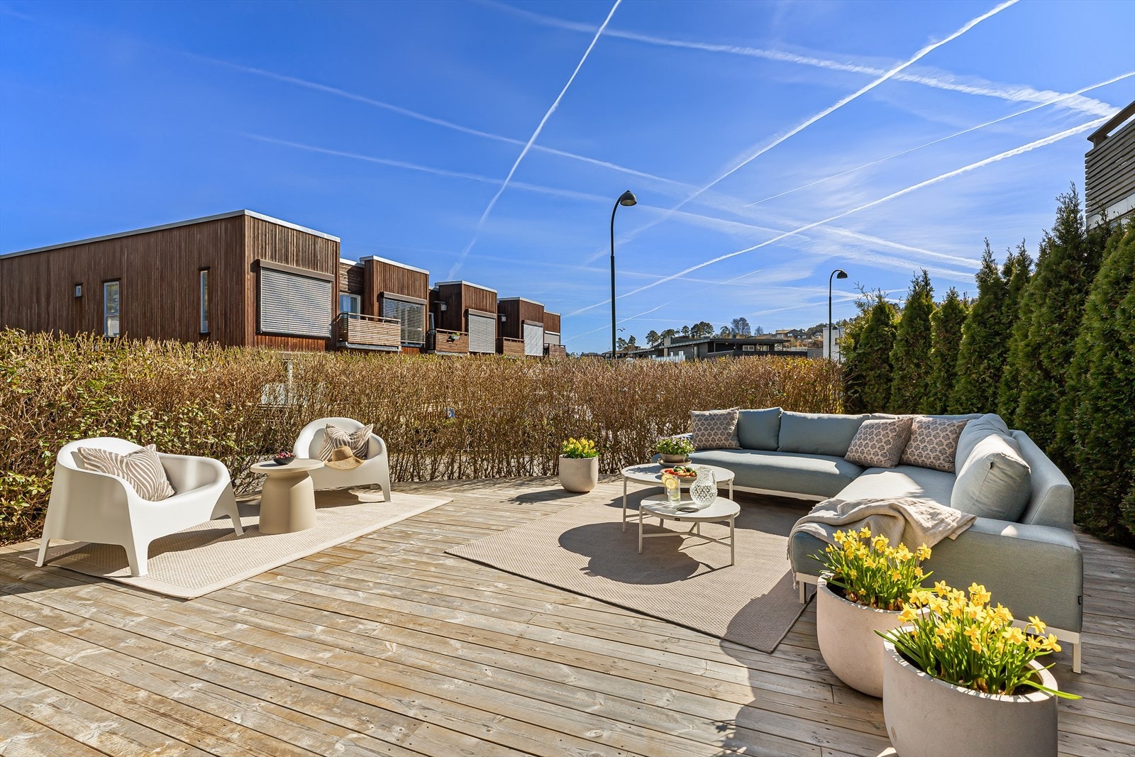 Hekken blomstrer snart med sine grønne toner og blir tett, som gjør at terrasseområdet skjermes veldig når den brukes mest på våren, sommer og sensommeren. Galleribilde