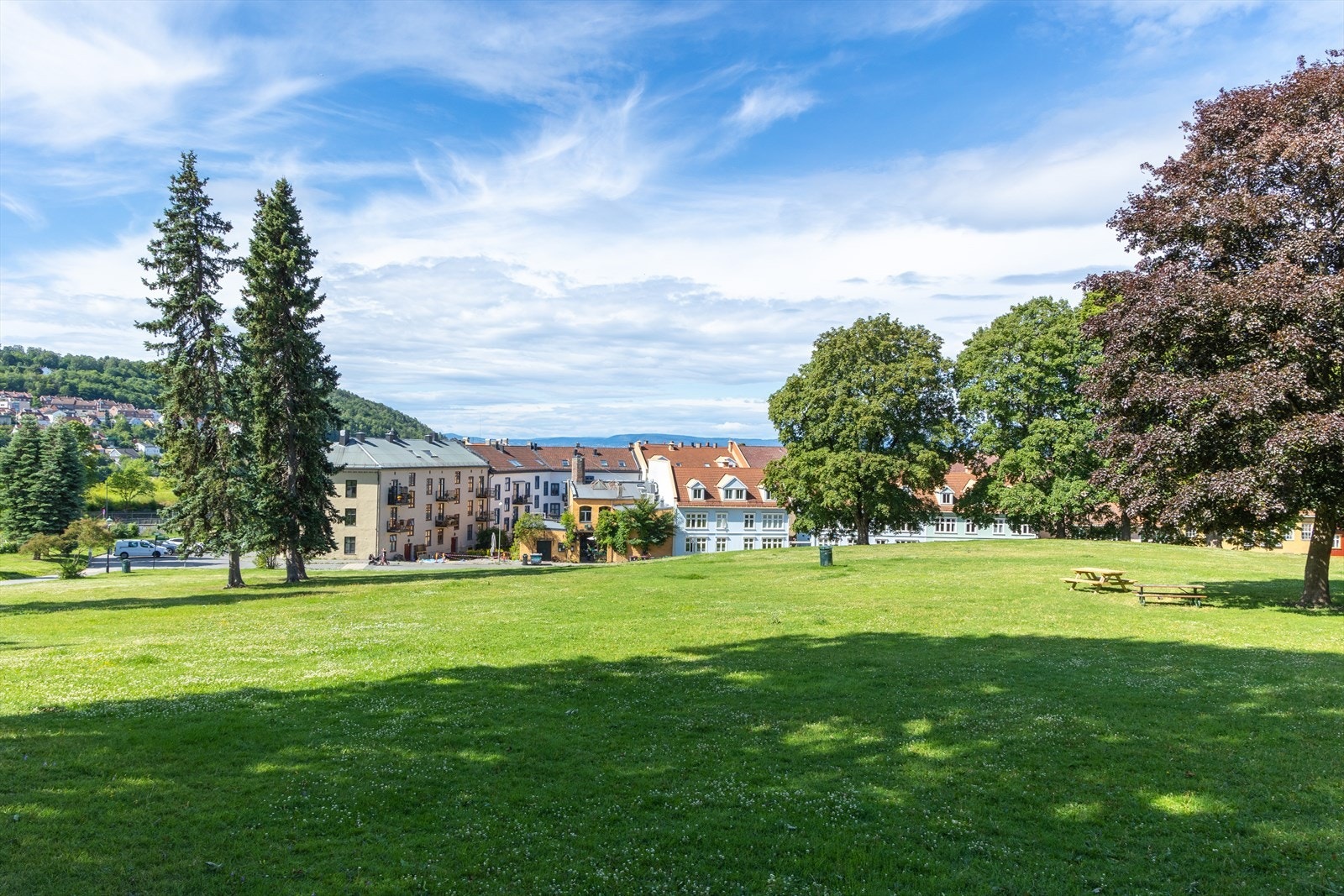 Vålerenga park er bokstavelig talt rett utenfor leiligheten og innbyr til mange fine sommerdager i gode venners lag. Galleribilde