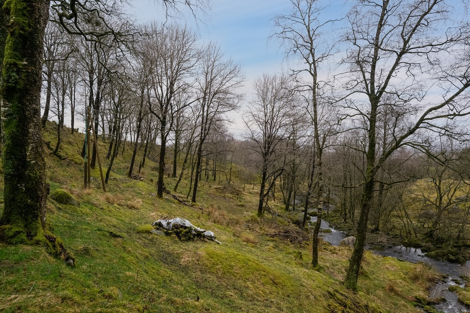Utmark 02 Galleribilde