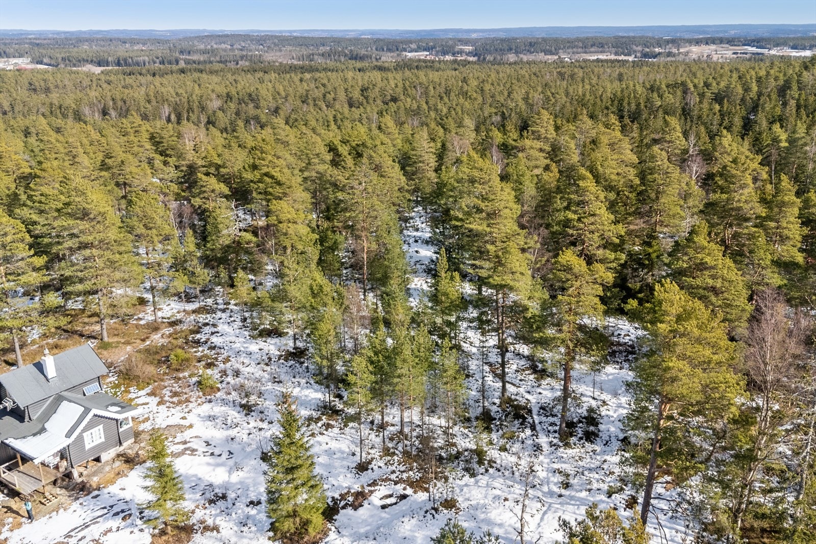 Tomten ligger i skogen med utallige turmuligheter. Galleribilde