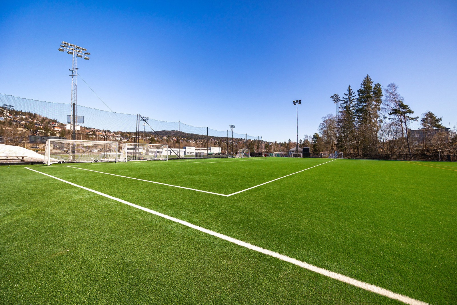 Gressbanen Galleribilde