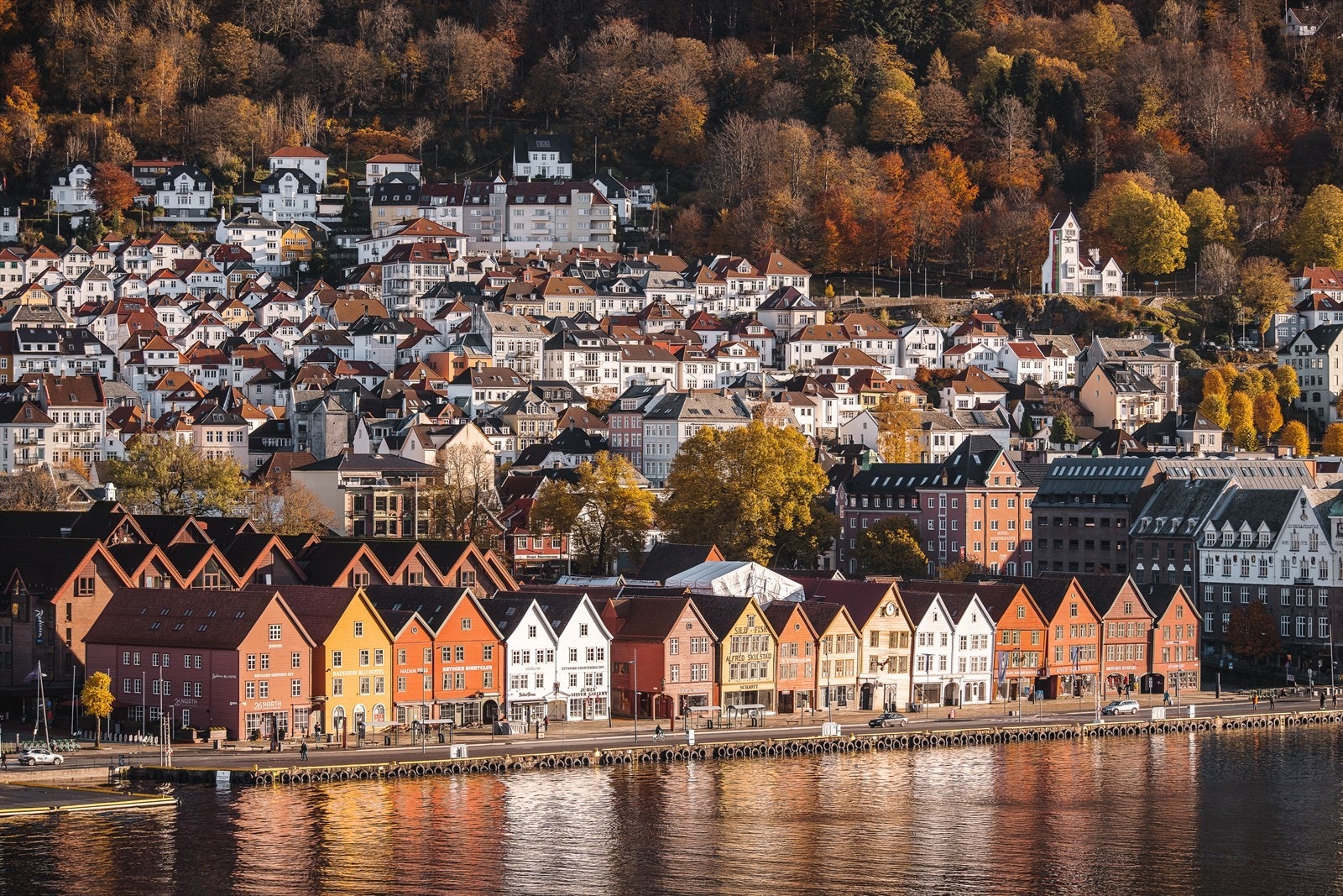 Vakre Bryggen Galleribilde