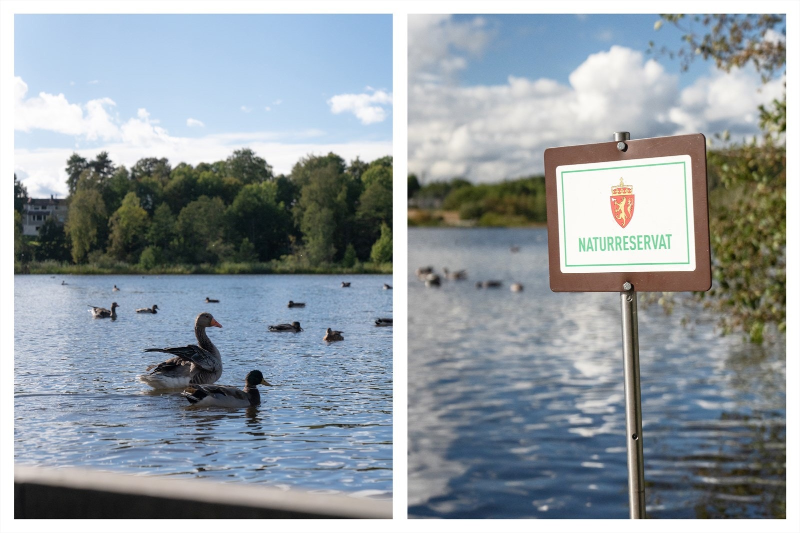 Omgivelser Østensjøvannet.jpg Galleribilde