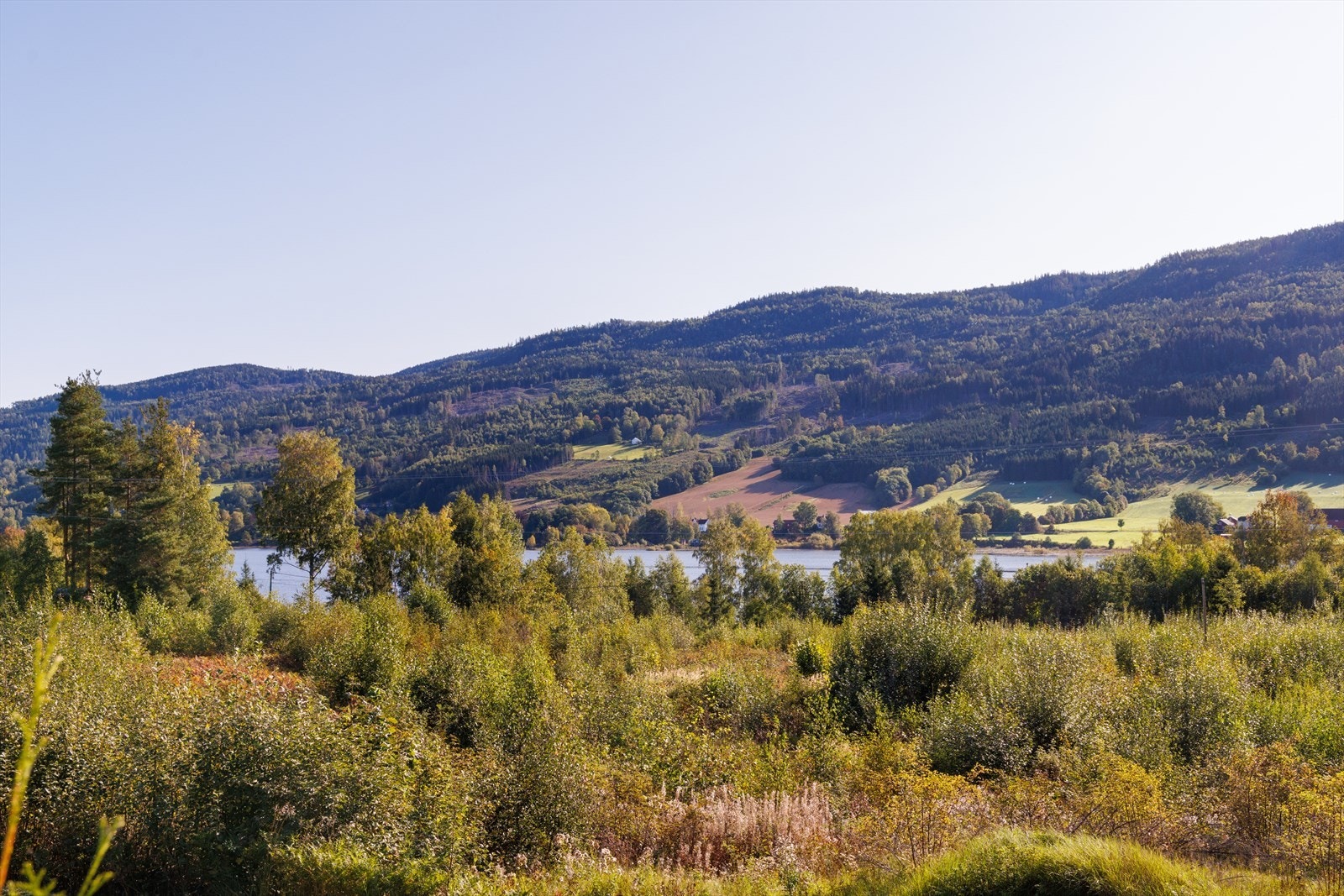 Velkommen til en hyggelig visning! Galleribilde