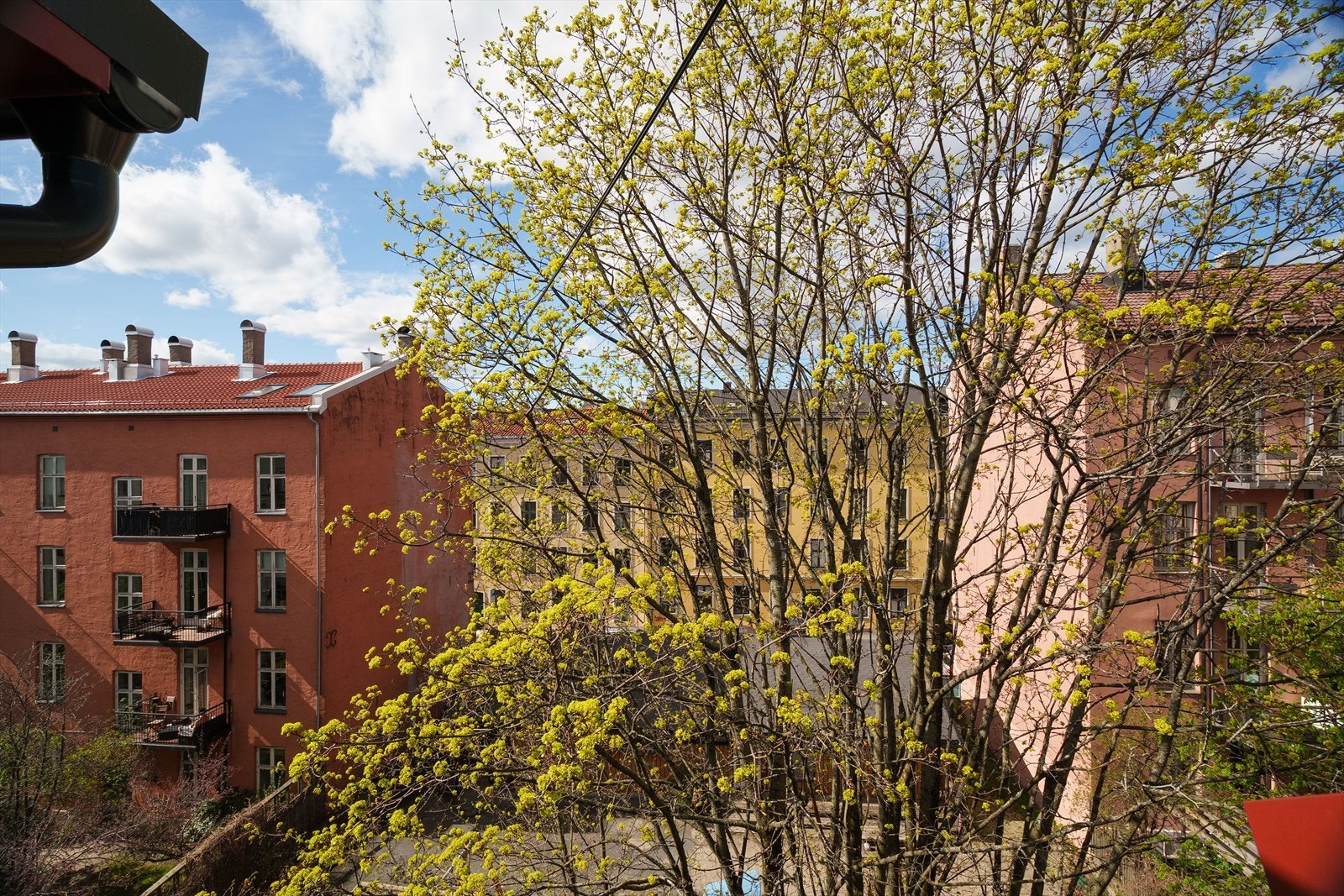 Skjermet og idyllisk utsikt Galleribilde