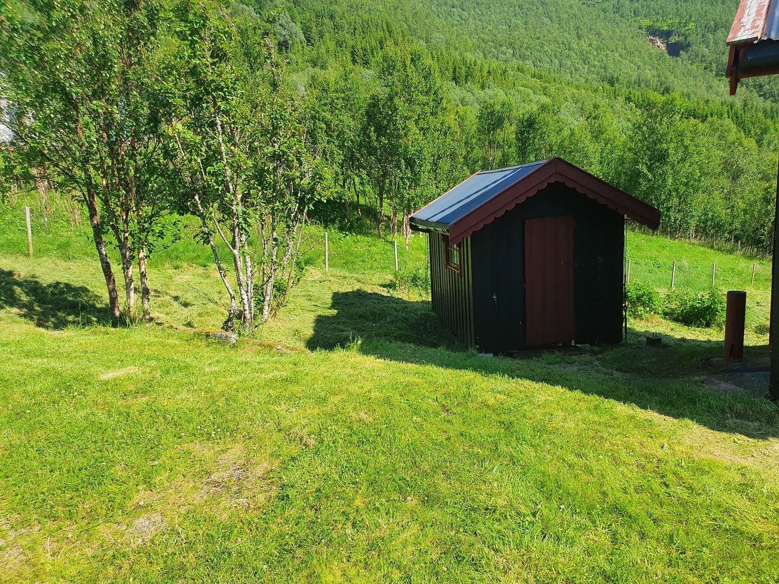 Selgers egne sommerbilder Galleribilde