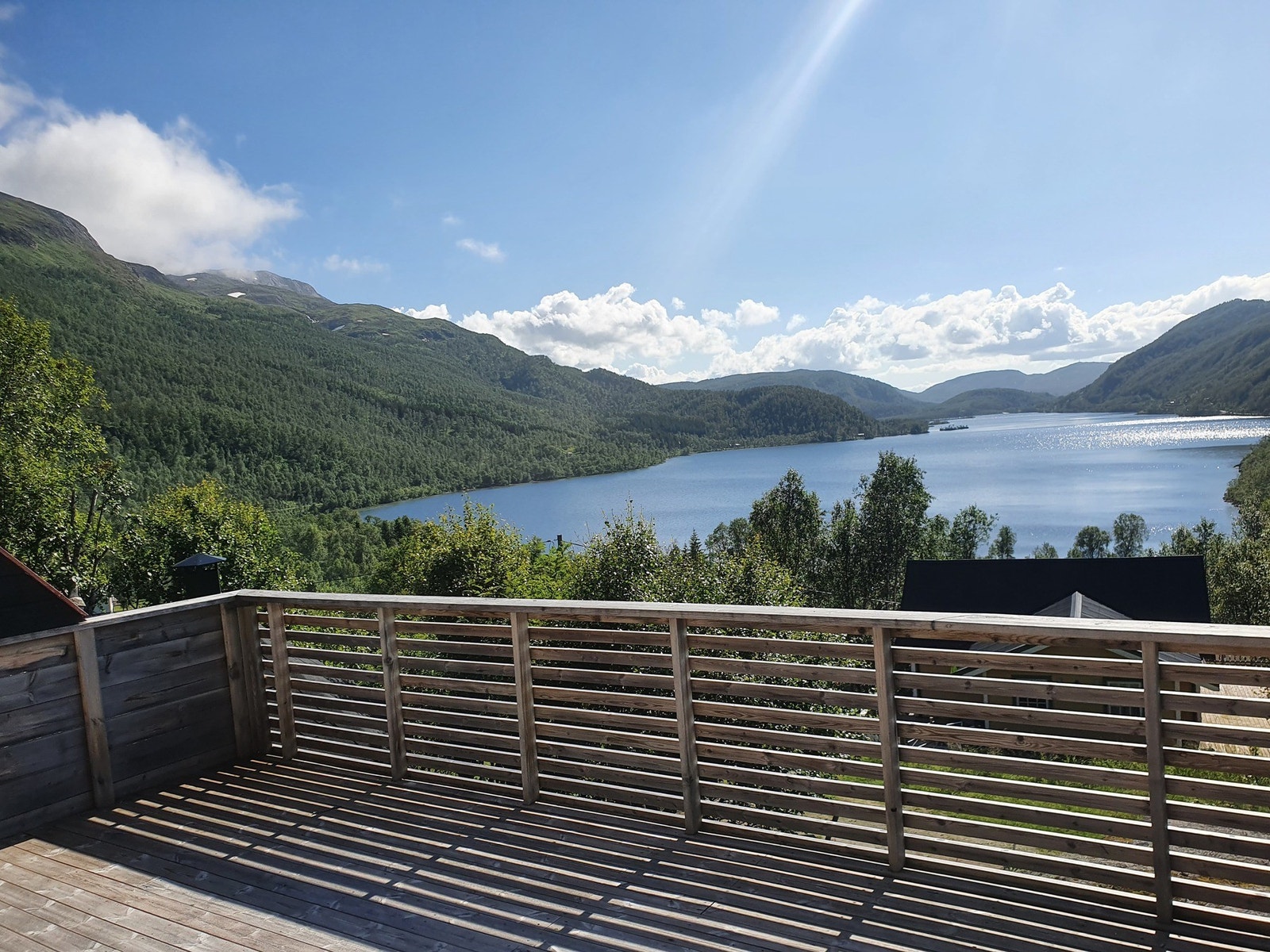 Selgers egne sommerbilder Galleribilde