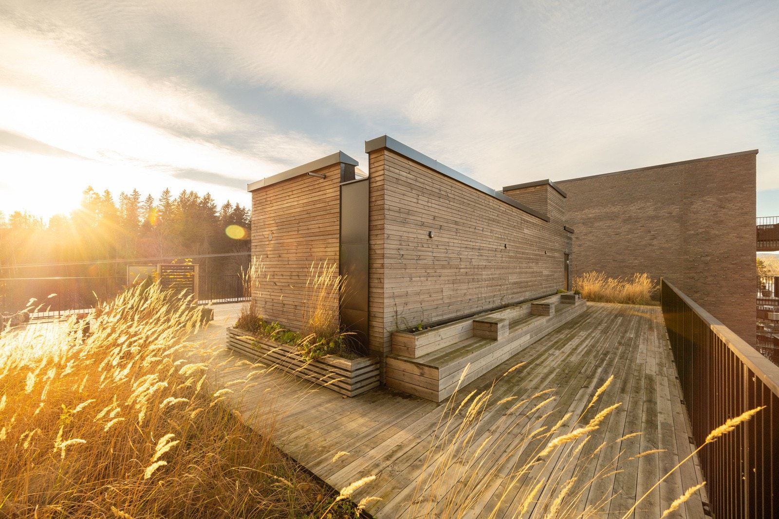 Resten av takterrassen er badet i sol hele ettermiddagen. Galleribilde