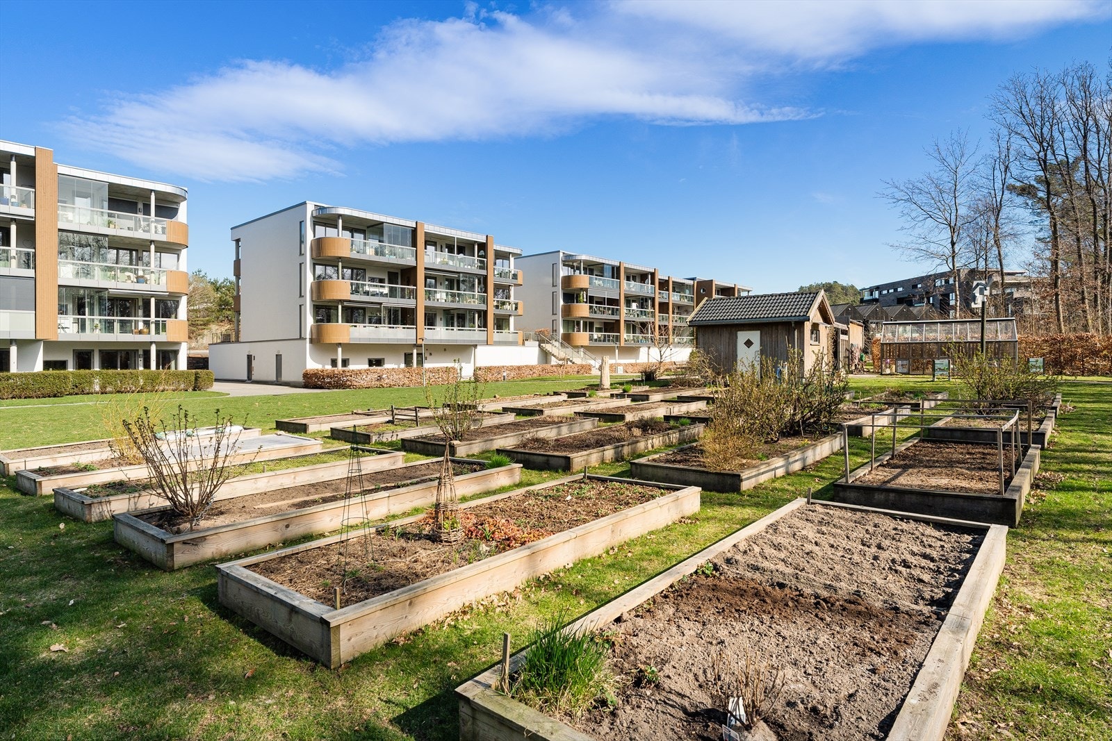 Randesund Hageby har noe for de aller fleste! Du kan være med i plantelaget, strikkegruppen, leseringen, eller spill- og filmkvelder. Du må ikke, men tilbudet ligger der om du har lyst! Galleribilde