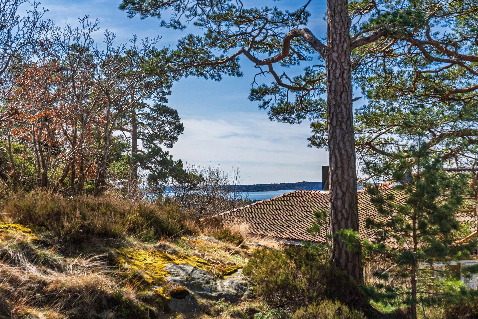 Utsikten fra terassen Galleribilde