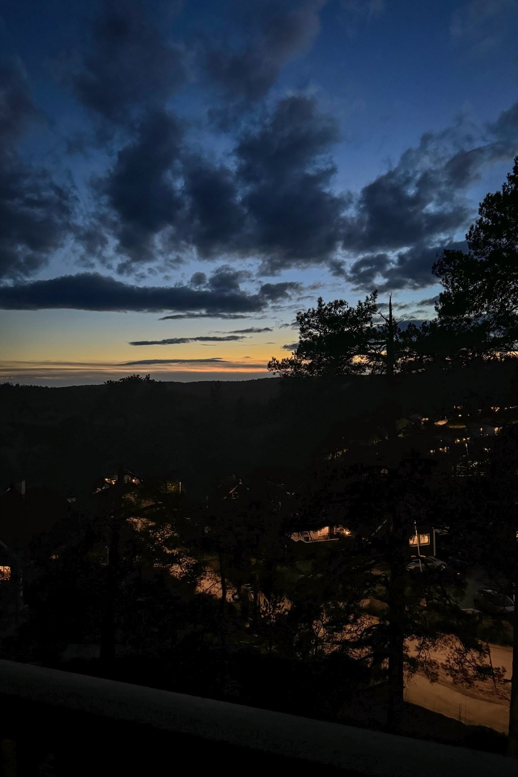 Selgers private bilder Galleribilde